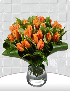 Oranj Laleler